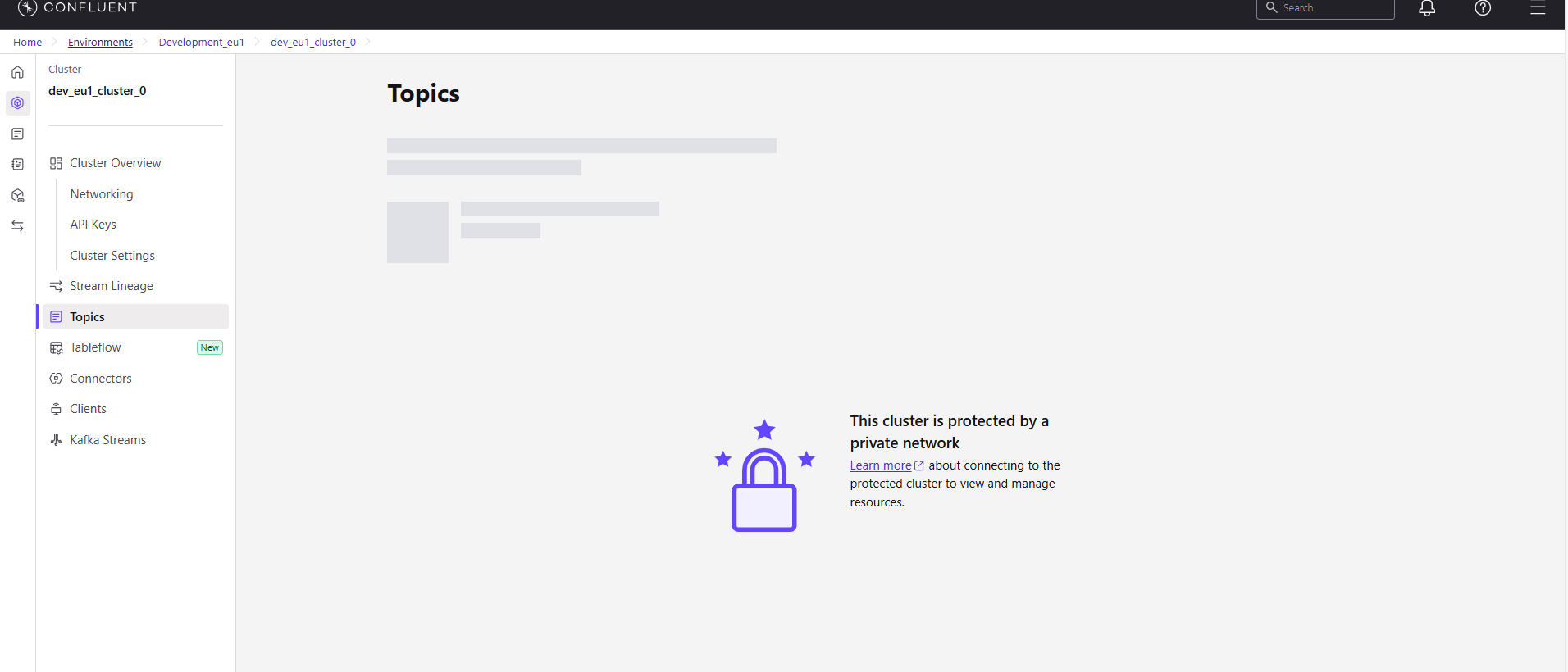 Private Network Error